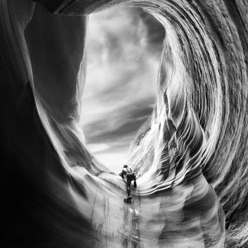 Dan Ransom