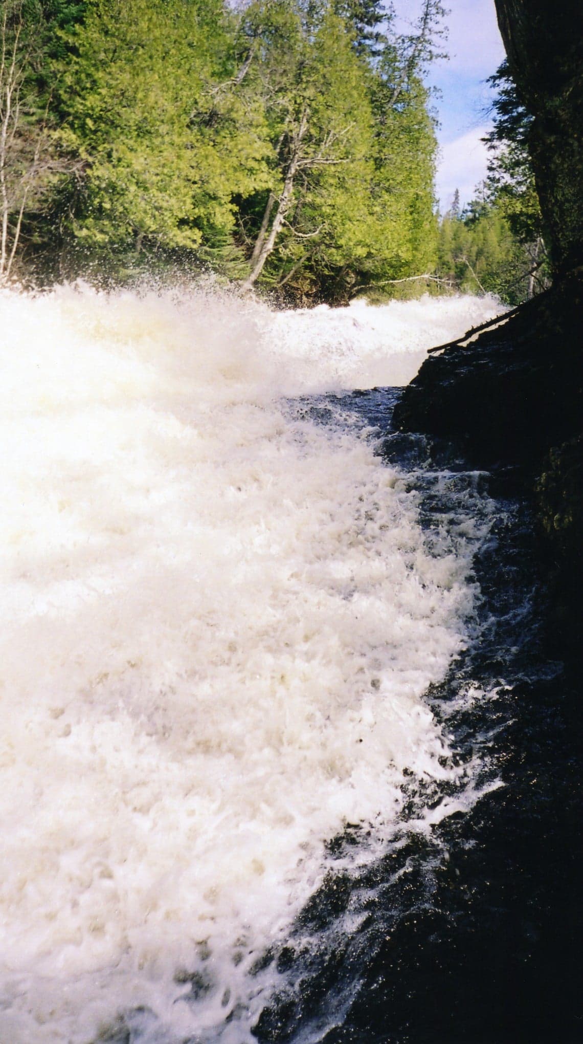 Reach banner
