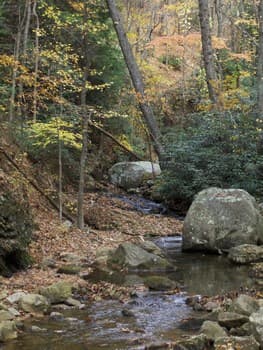 Reach banner