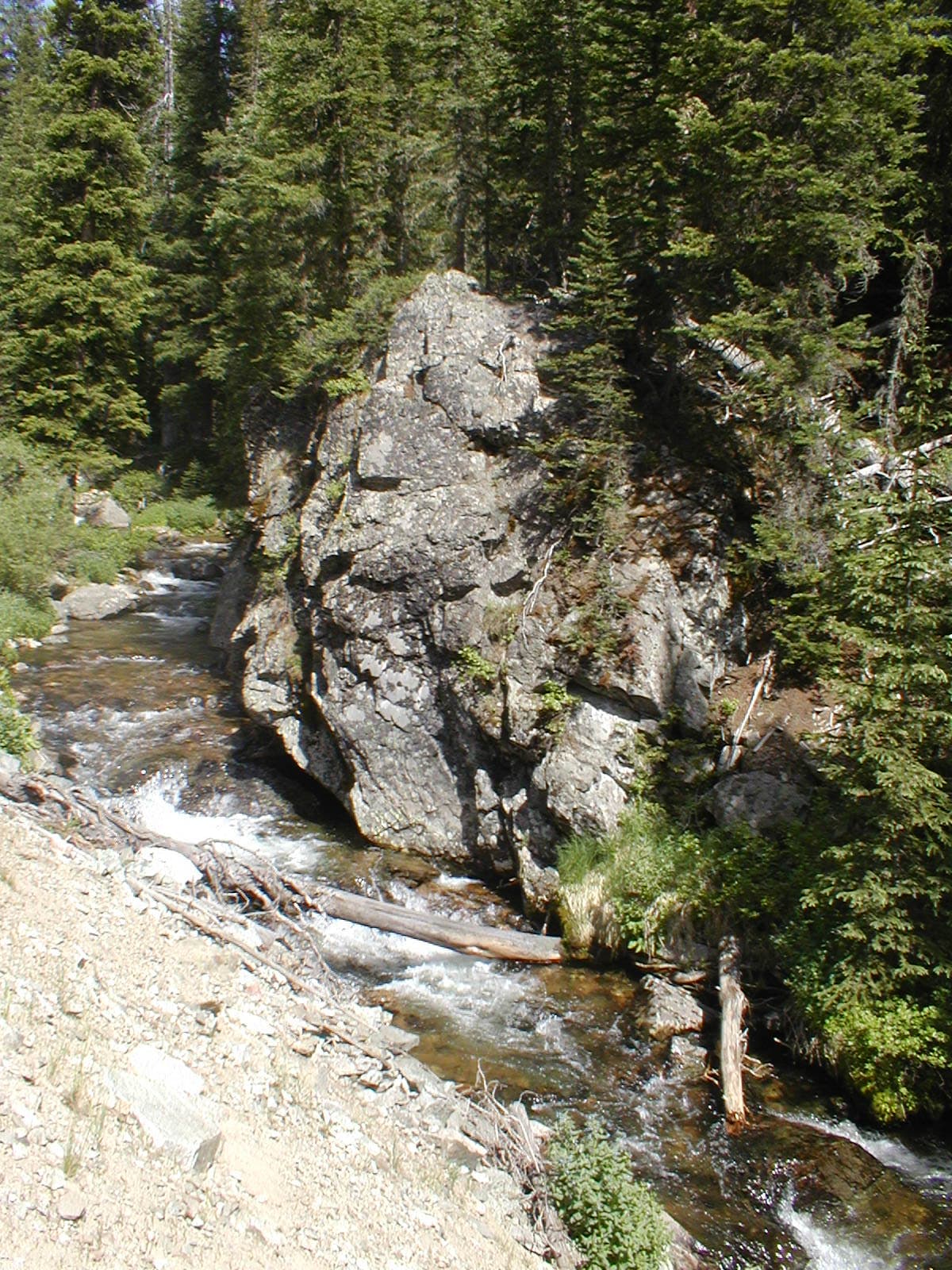 Reach banner