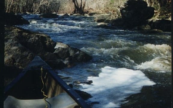 Reach banner
