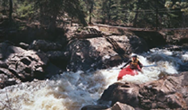 Reach banner