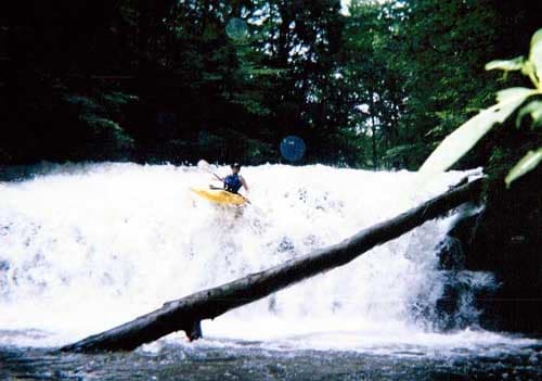 Reach banner