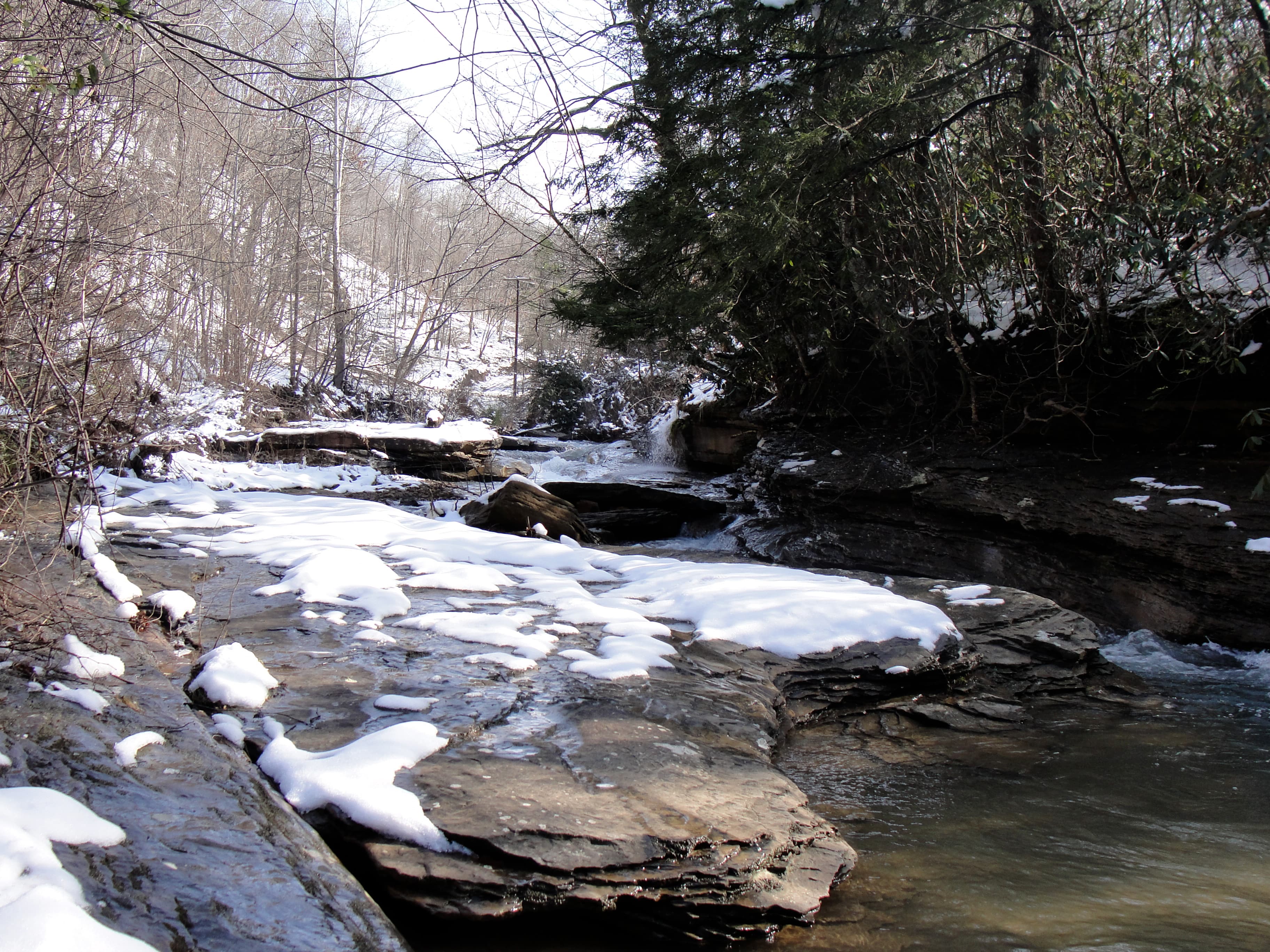 Reach banner