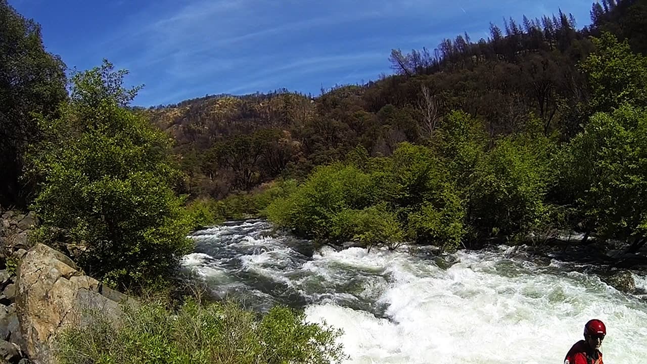 Reach banner