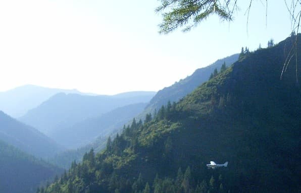Reach banner