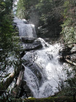 Reach banner