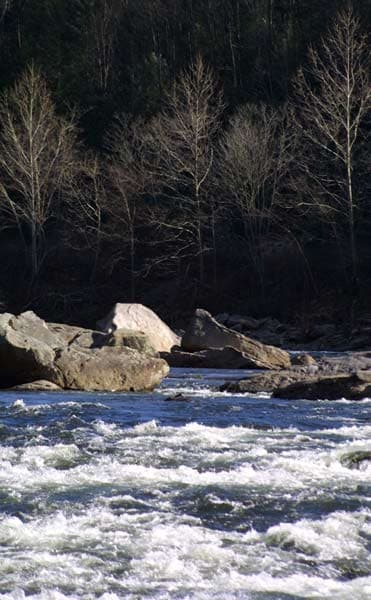 Reach banner