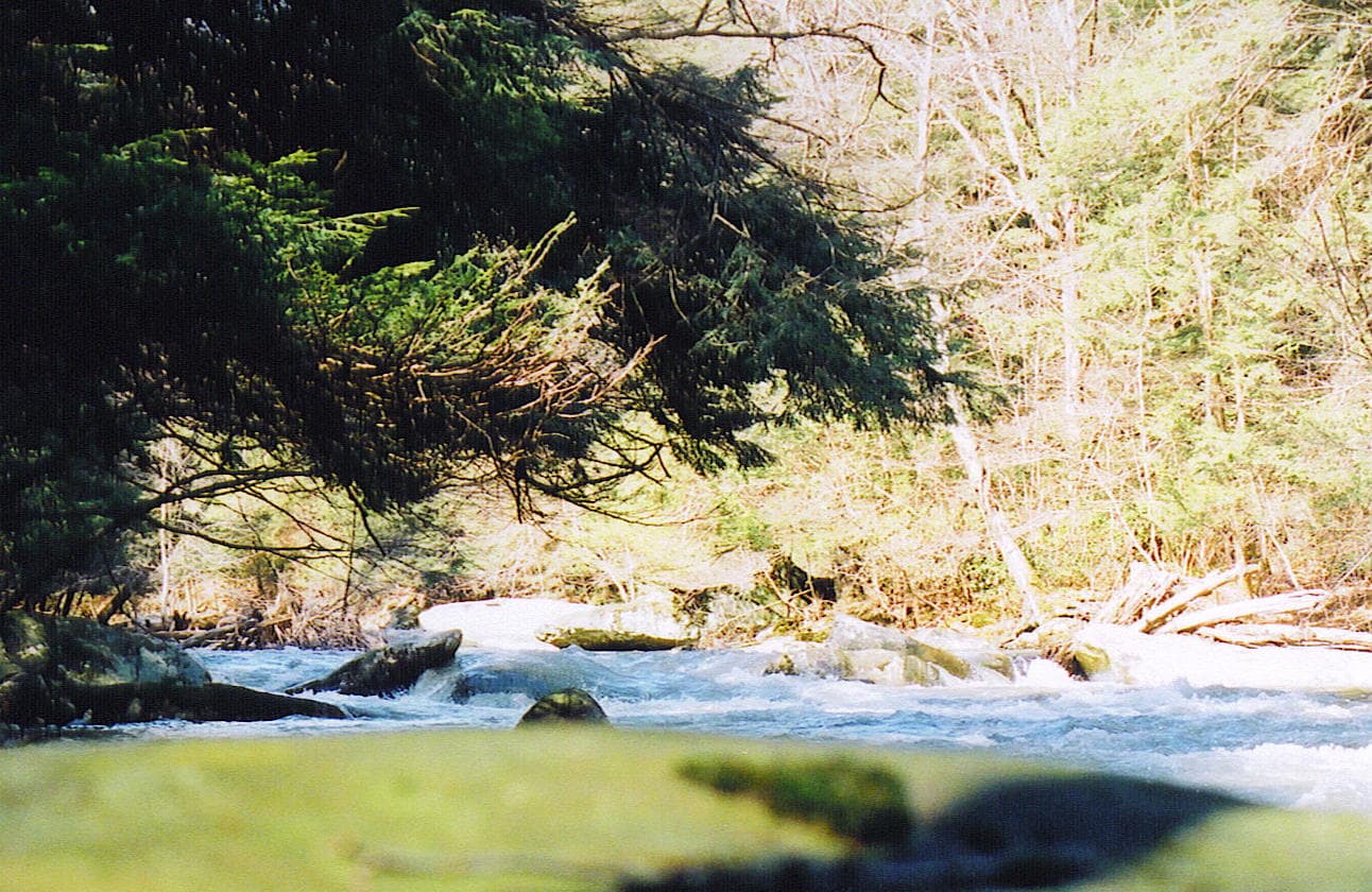 Reach banner