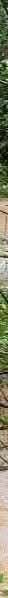 Reach banner