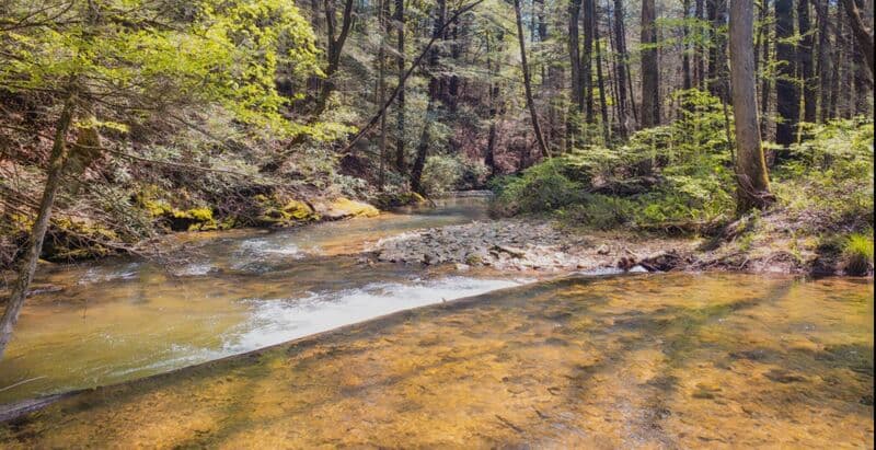 Multiple miles of river upstream need to be better explored