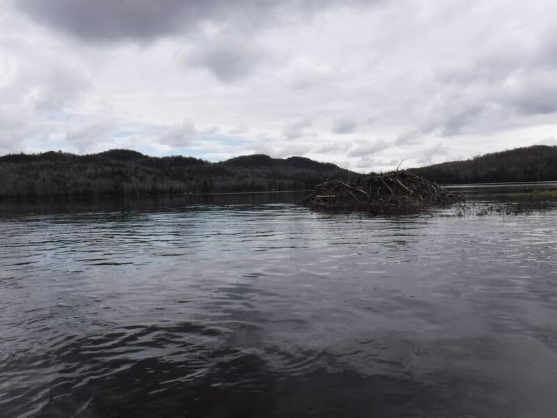 Trip report photo