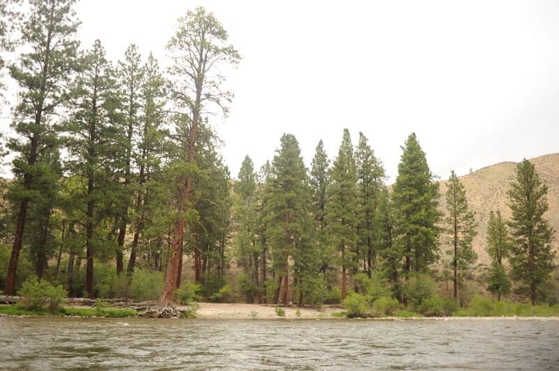 State Land Left Camp (RL)
