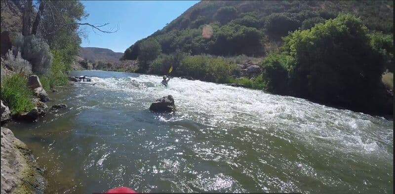 Croyden Wave