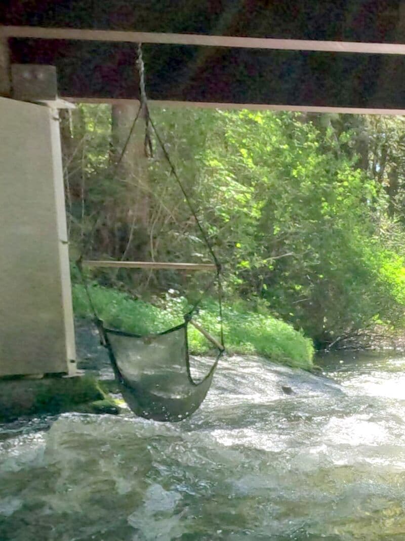 Hanging Chair (bridge & rapid)
