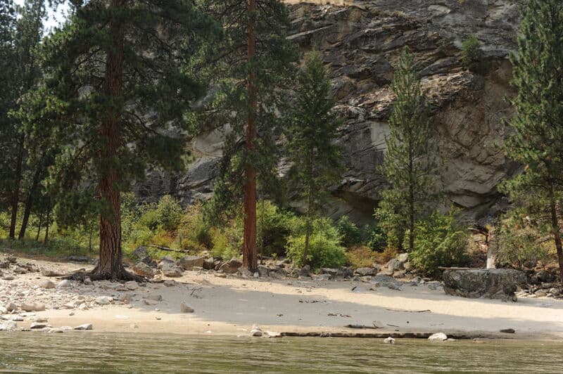 Elk Bar Camp (RL)