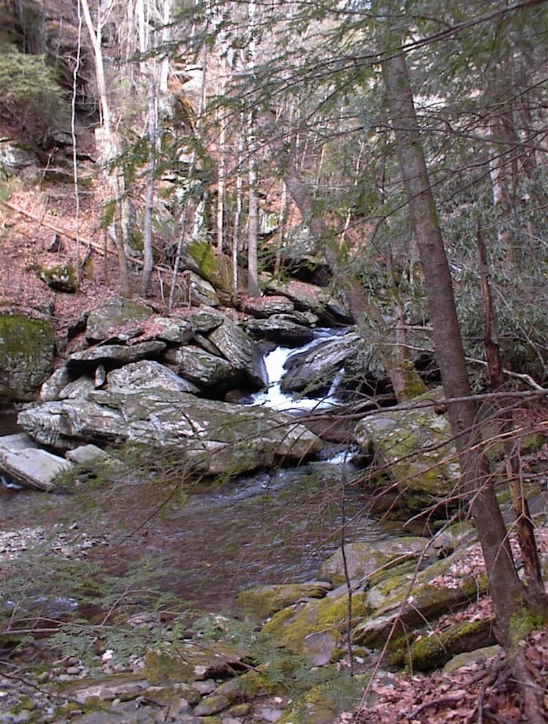 Trip report photo