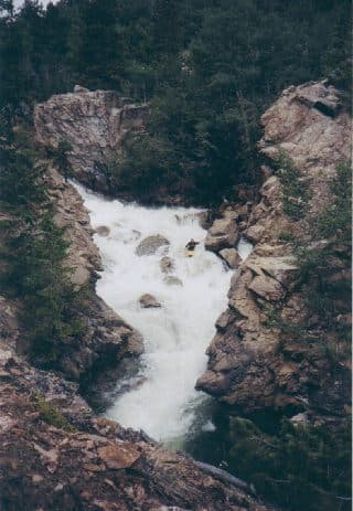 Paralyzer Rapid