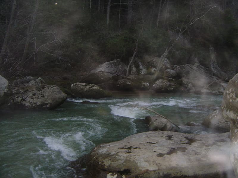 Trip report photo
