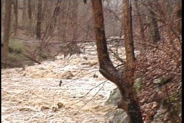 Trip report photo