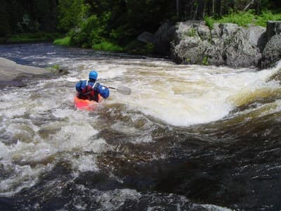 Cabin Rapid