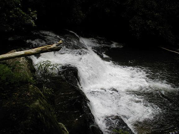 Trip report photo