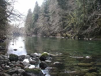 Looking Downstream at Low Water