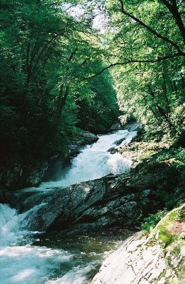 Trip report photo