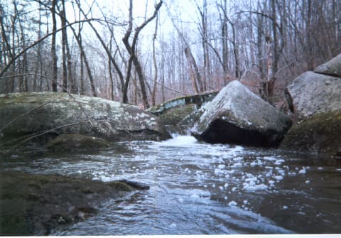 Hair of the Beaver or Slot (III+)