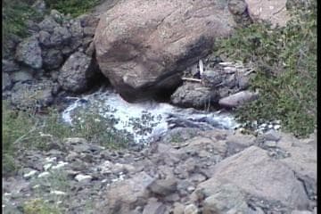 Trip report photo