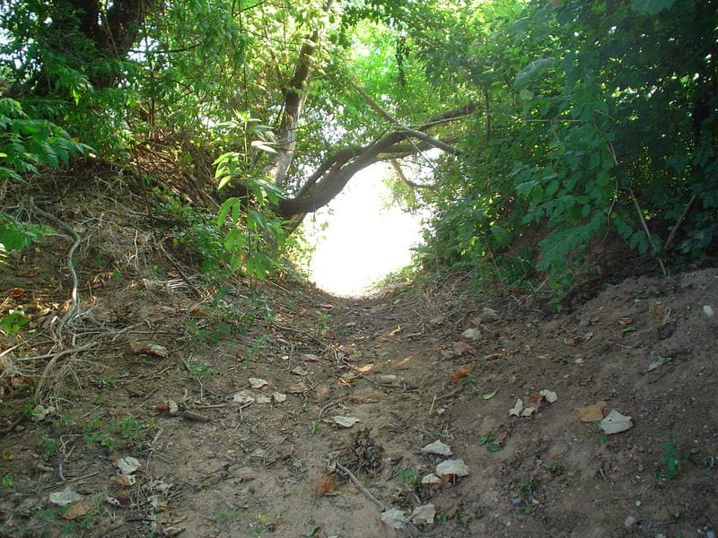 The Slide