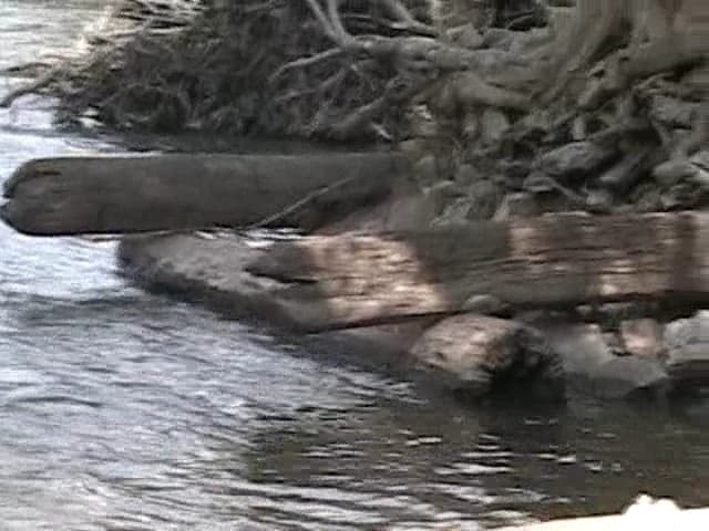 Trip report photo