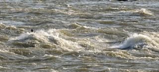 Triple  Waves