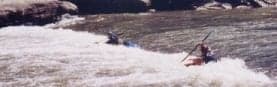 Surfers