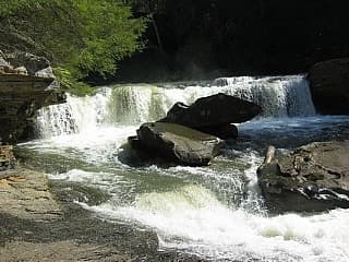 Trip report photo