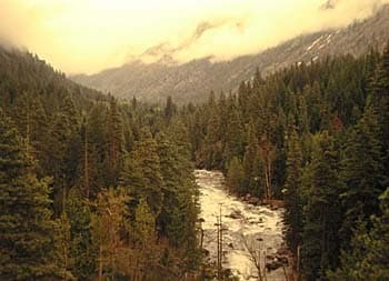 Trip report photo