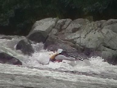 Trip report photo