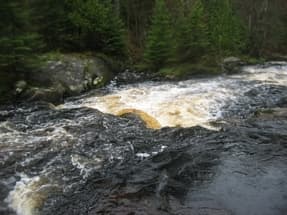 Warm-up Rapids