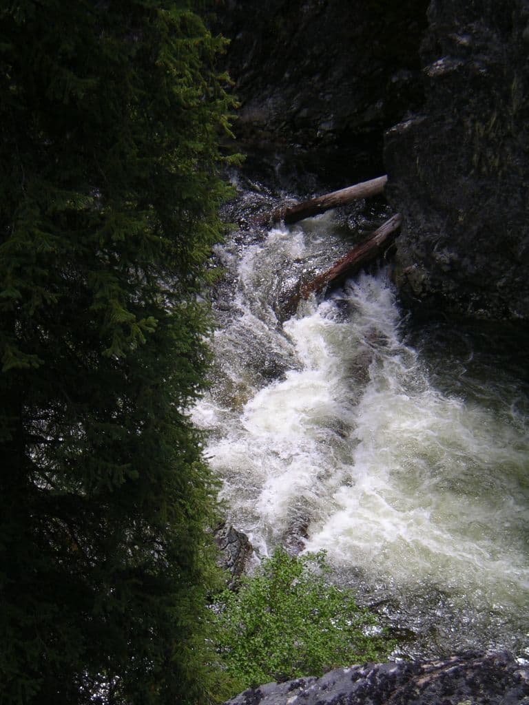 Trip report photo