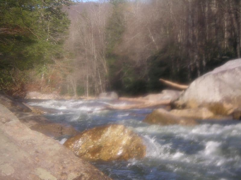 Trip report photo