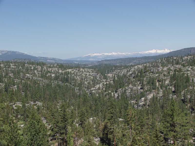 Trip report photo