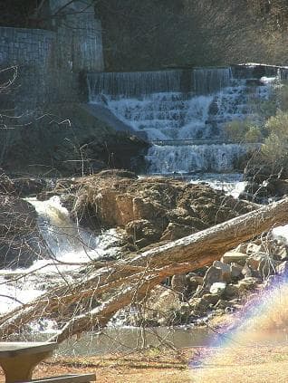 Trip report photo