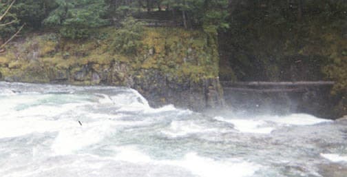 Lower Steamboat Photos