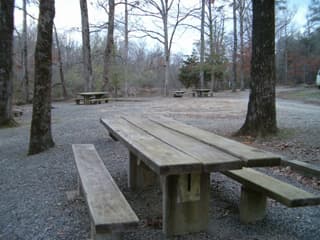 Trip report photo