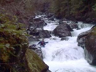Lower Big Quilcene Trip