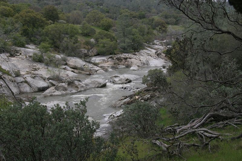 Trip report photo