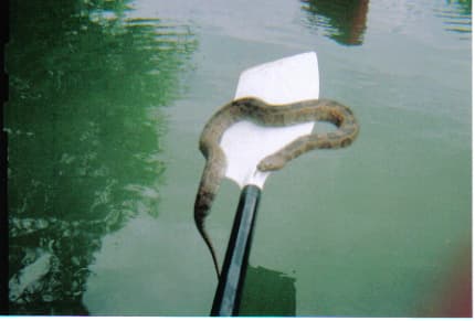 Trip report photo