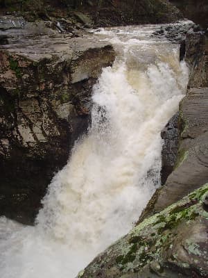 Fawn's Leap