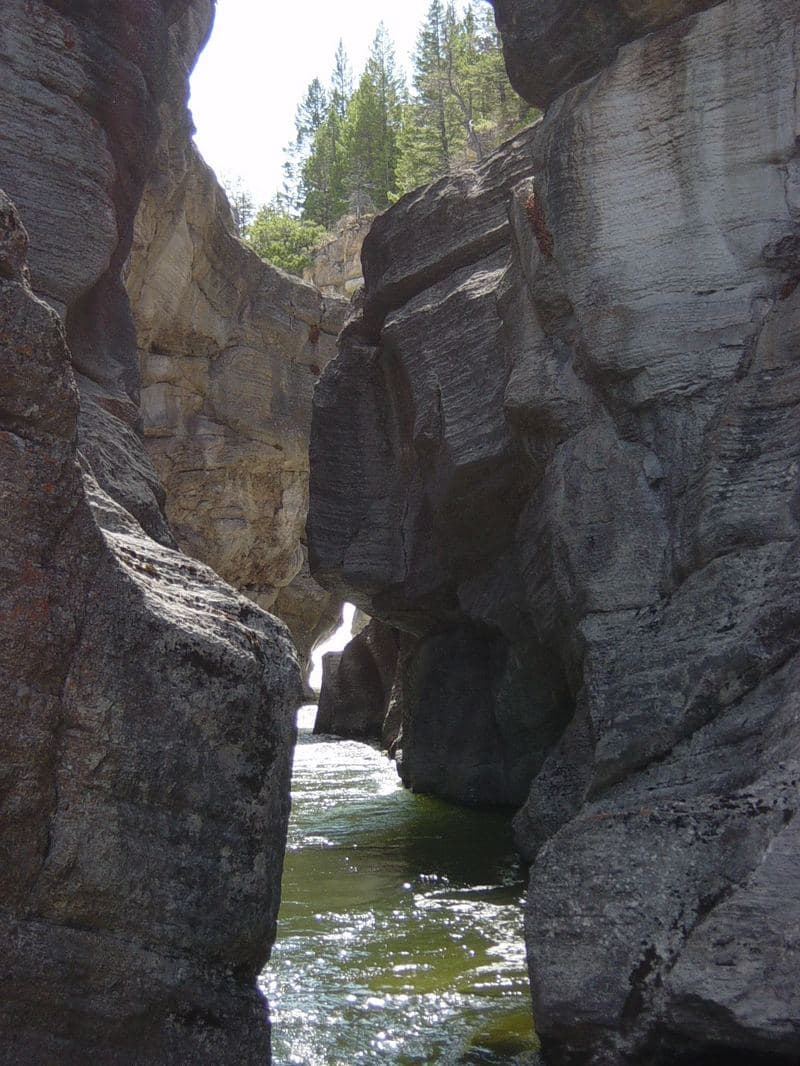Trip report photo