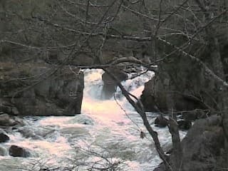 Trip report photo